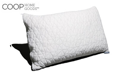 product image of coop home goods model