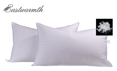 Product image of eastwarmth pillows