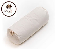 product image of sachi organics buckwheat pillow small