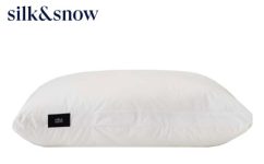 Silk & Snow Pillow