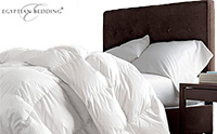 Small Product Image of Egyptian Bedding Down Comforter