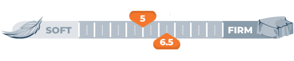 firmness scale 5 and 6.5