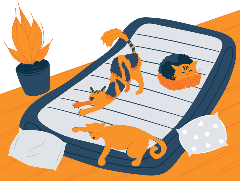 Illustration of a Cats Sleeping on an Air Mattress